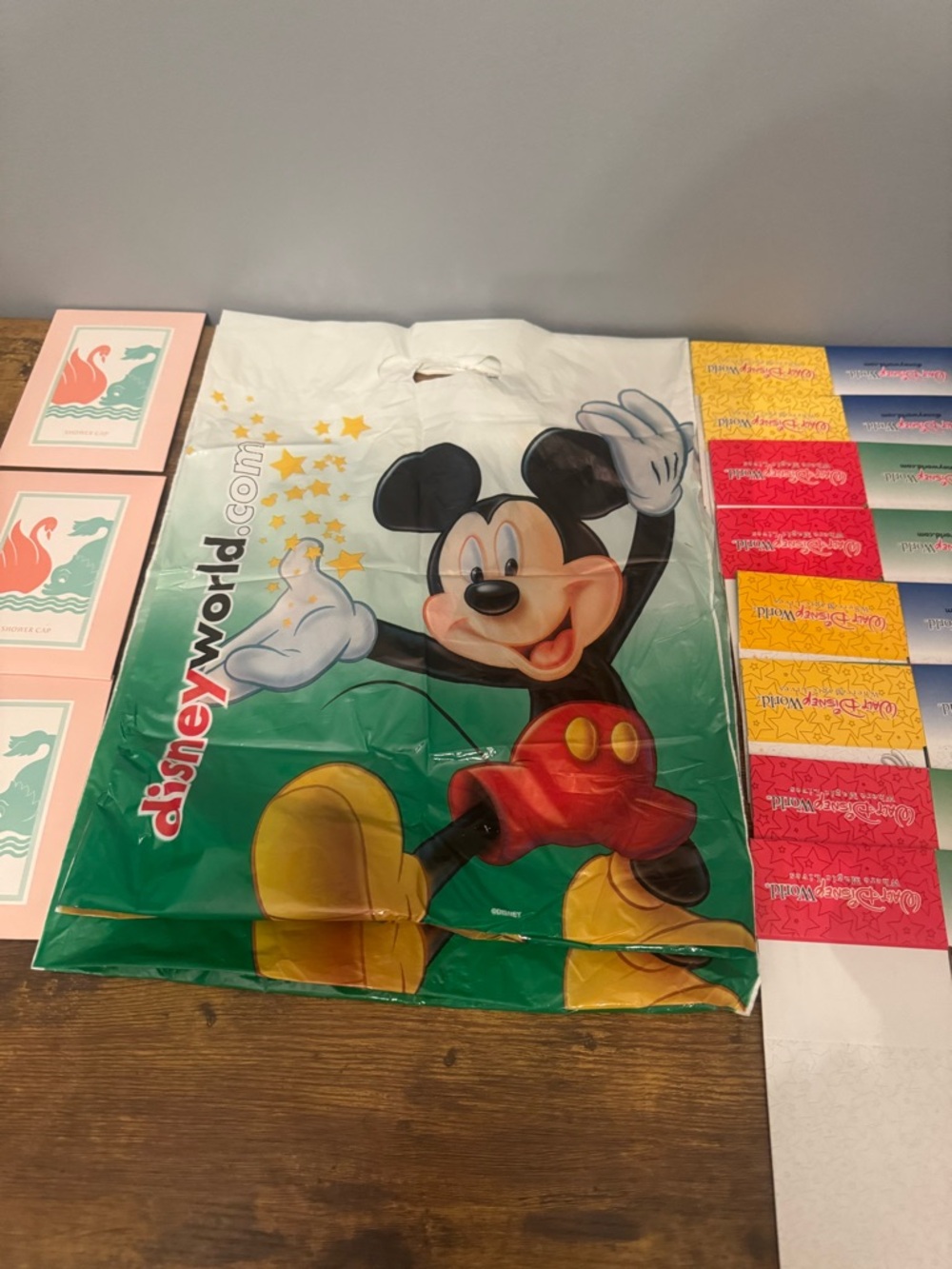 Vintage Walt Disney World Lot Mickey Gift Boxes Bags Shower Caps 2000s